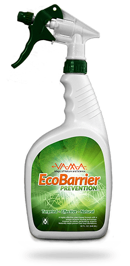EcoBarrier Prevention